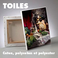 toilechassis-200
