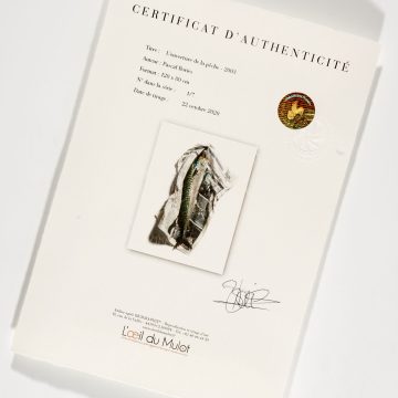 certificat d’authenticité hologramme