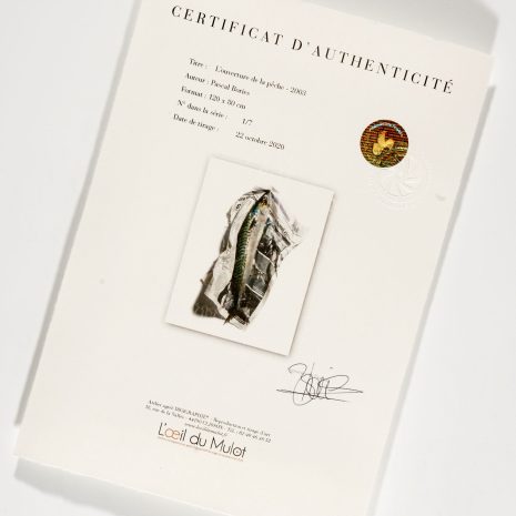 certificat d'authenticité hologramme