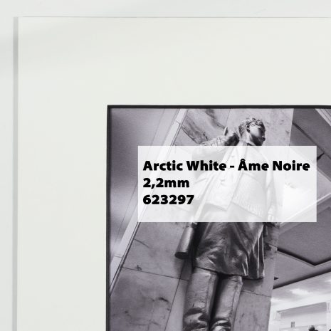 Arctic White 623297 Âme Noire 2,2mm 2